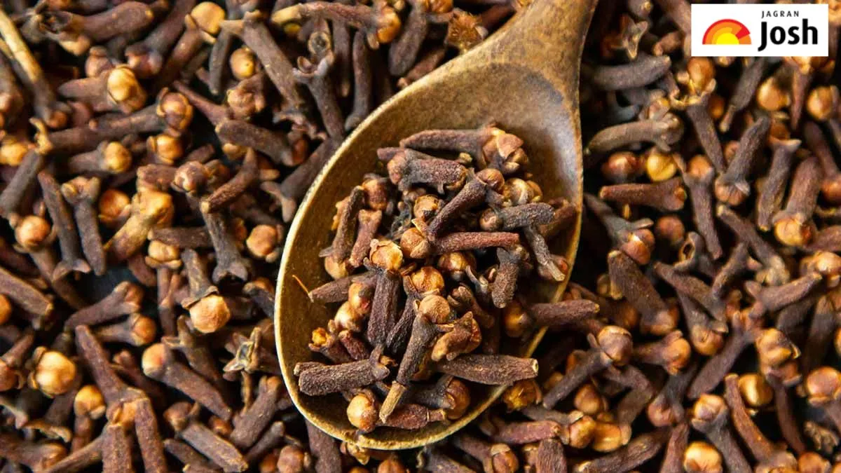लौंग का सबसे बड़ा उत्पादक राज्य