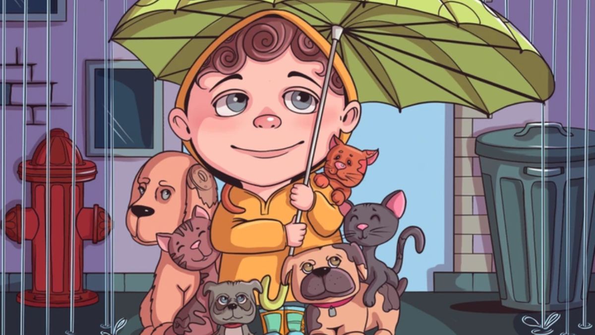 If You Have Laser-Like Sight, Then Find The Hidden Bone In This Rainy Scene In 15 Seconds!