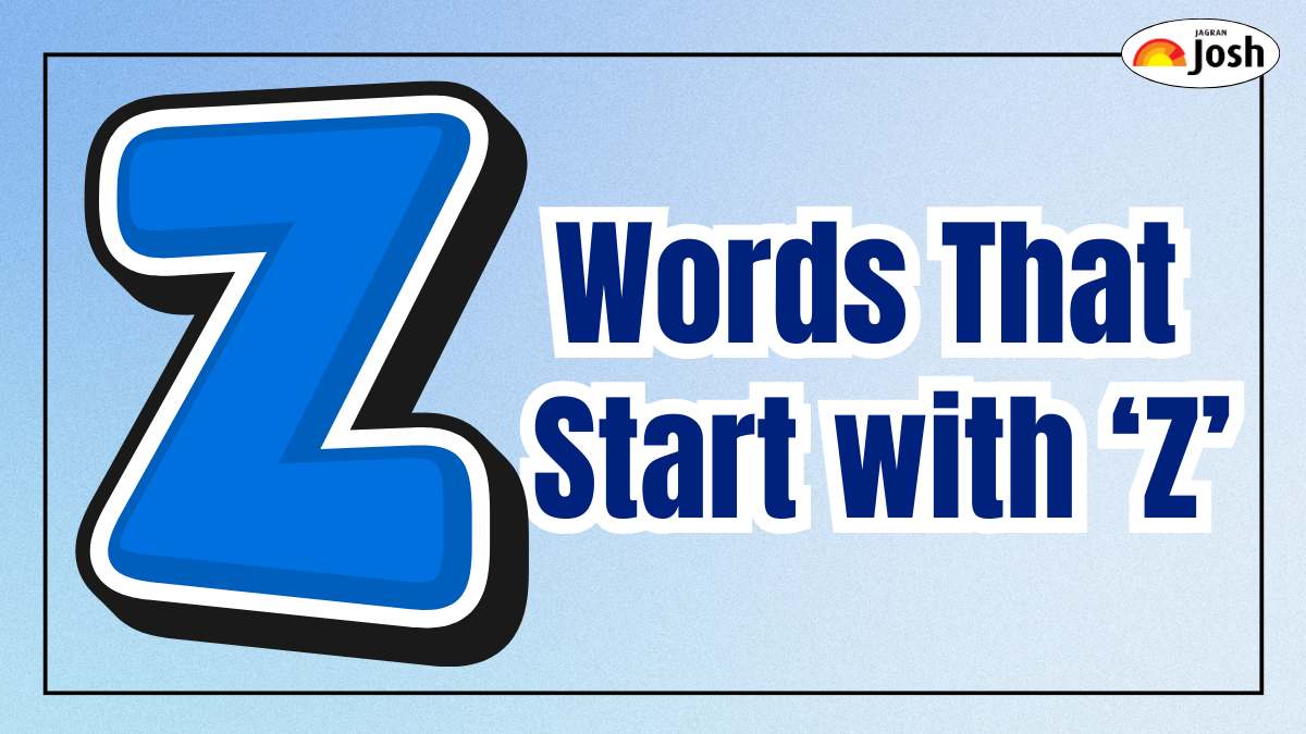 Words That Start with Z: Nouns, Action, Describing and Everyday Use Words