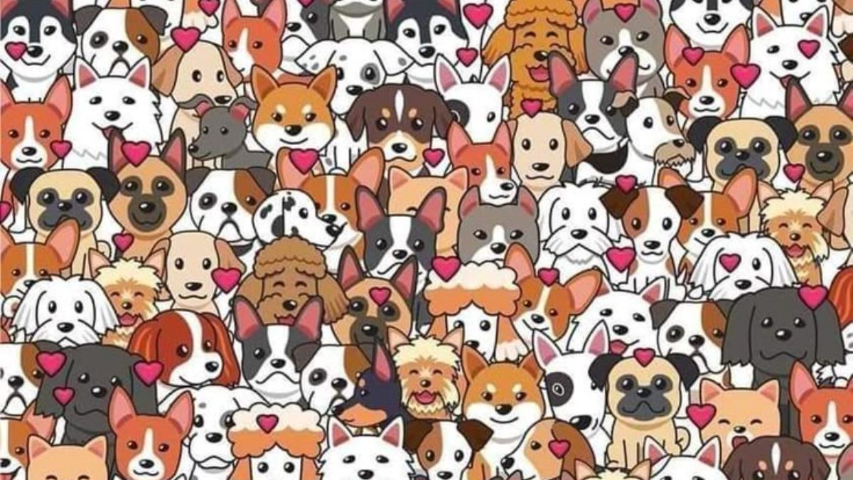 Are You Among The Top 1% Attentive People? Spot the Cat Hidden Among Dogs In 21 Seconds!
