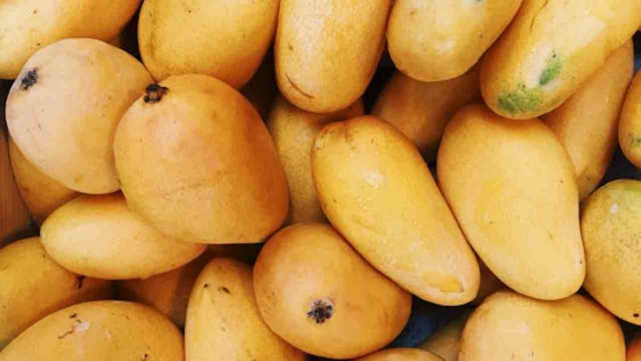 भारत के सबसे महंगे आम