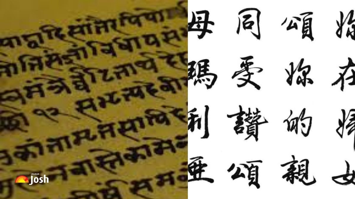 ये हैं दुनिया की सबसे पुरानी भाषाएं, जो आज भी बोली जाती हैं, जानें नाम क्षेत्र 

