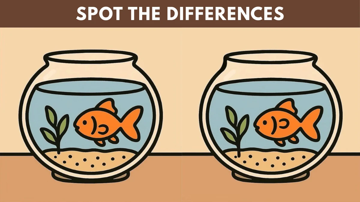 Only 1 Out of 20 Can Spot the 3 Differences Between Fishbowl Pictures In 17 Seconds!

