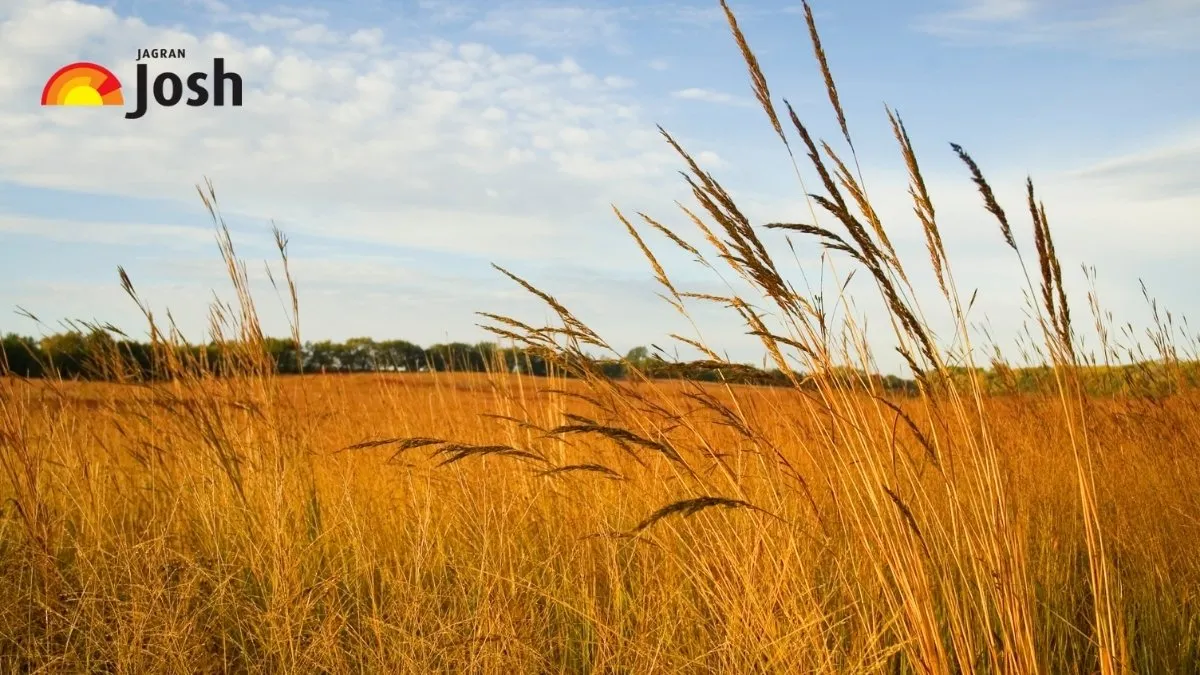 The US state known as cornhusker state.
