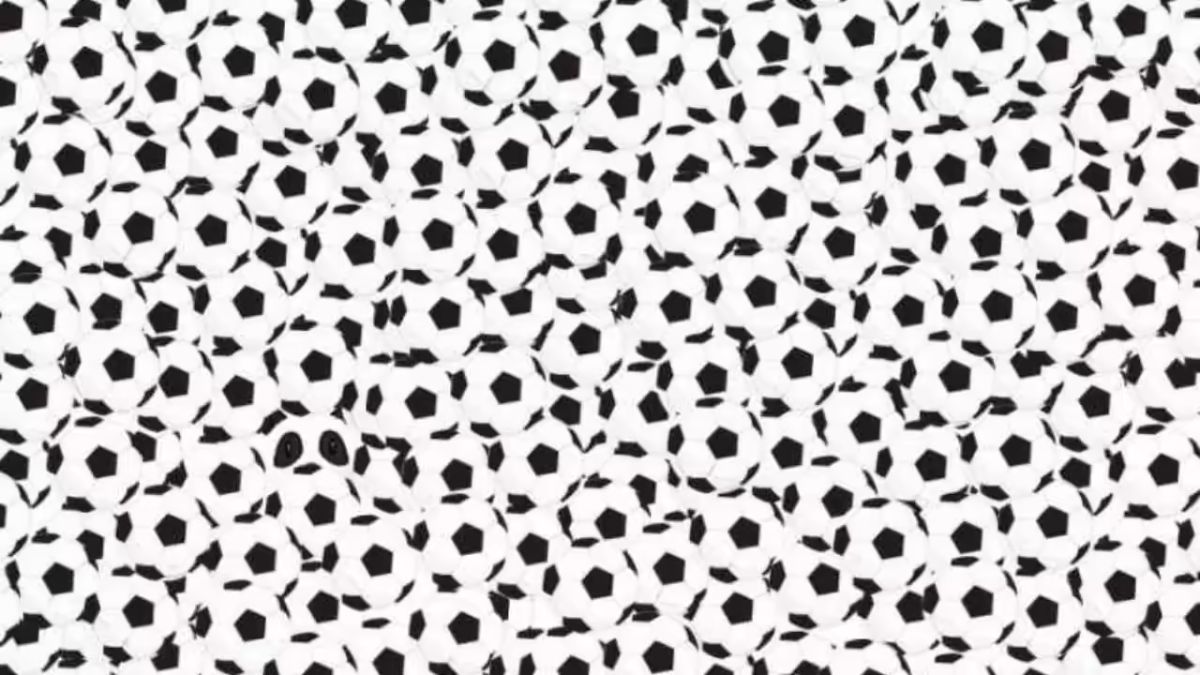 Optical Illusion IQ Test: Can You Break The Record Of The Highest IQ Person? Spot The Panda Hidden Among Footballs In 22 Seconds!