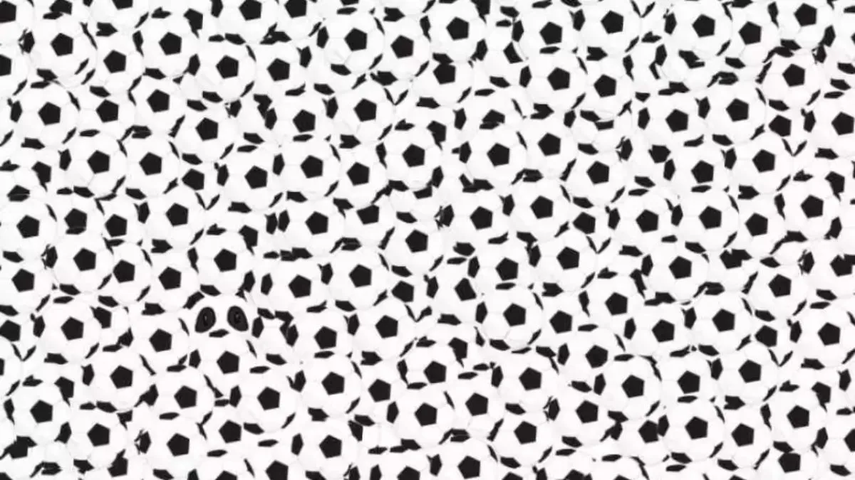 Spot the panda among the footballs!