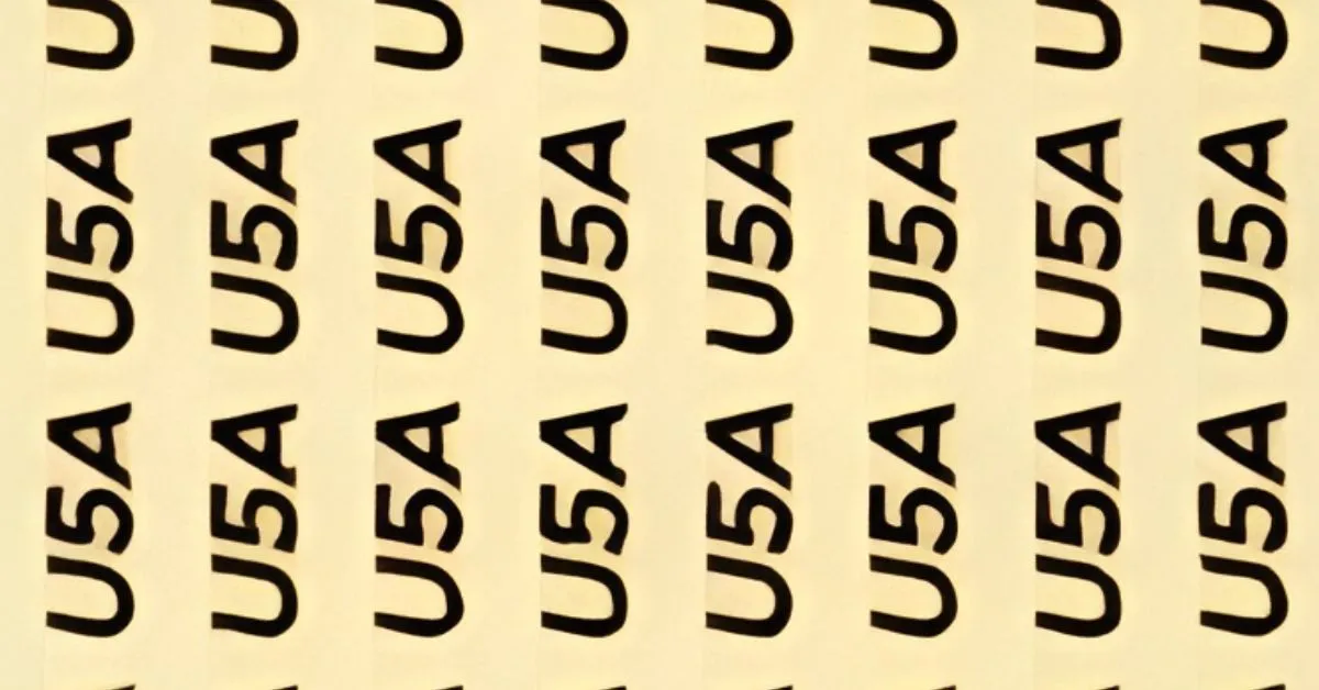 Find USA Among the U5A in this Challenging Optical Illusion