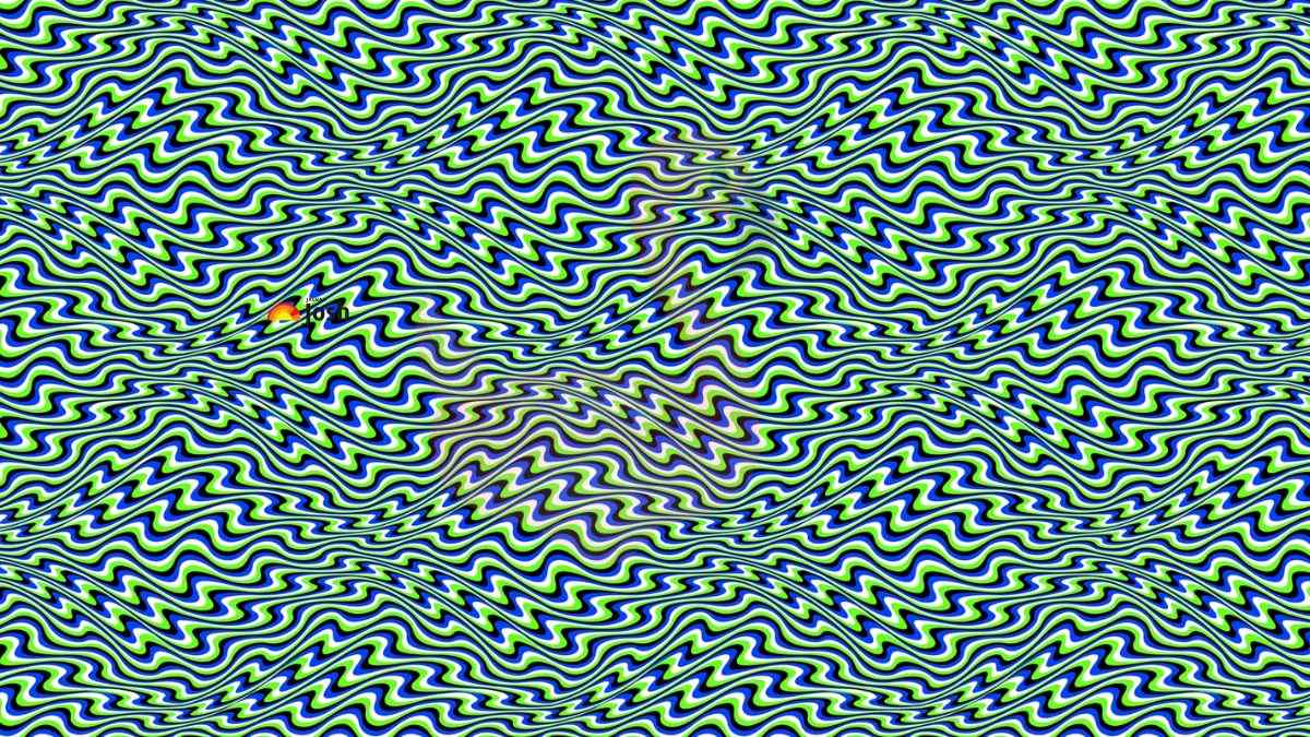 If you possess Vision of Plutonian with 140+ IQ Level, Then Find the Hidden Flamingo Pool Float in this Beautiful Tidal Optical Illusion