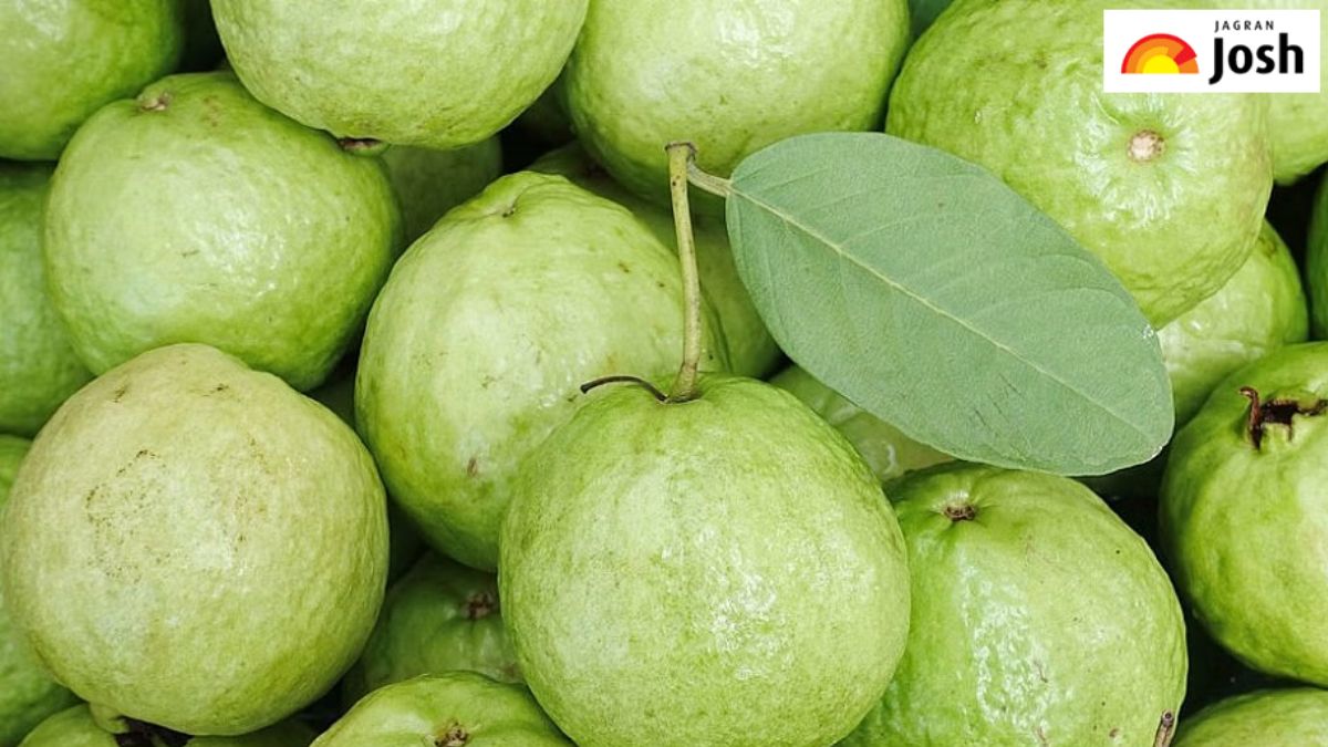 पूरी दुनिया में अमरूद का सबसे बड़ा उत्पादक देश, जानें नाम