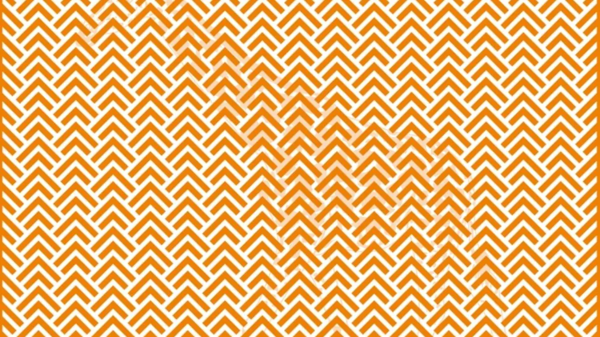 Spot the hidden animal in this zigzag optical illusion.