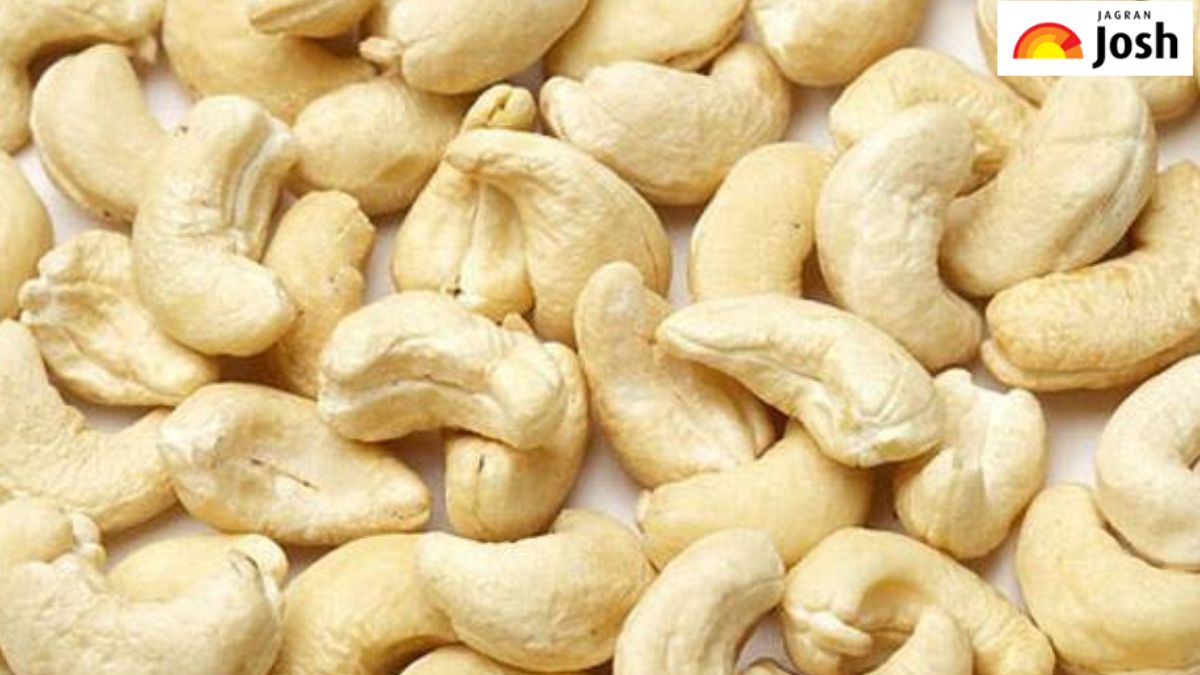 भारत में सबसे बड़ा काजू उत्पादक राज्य, जानें नाम