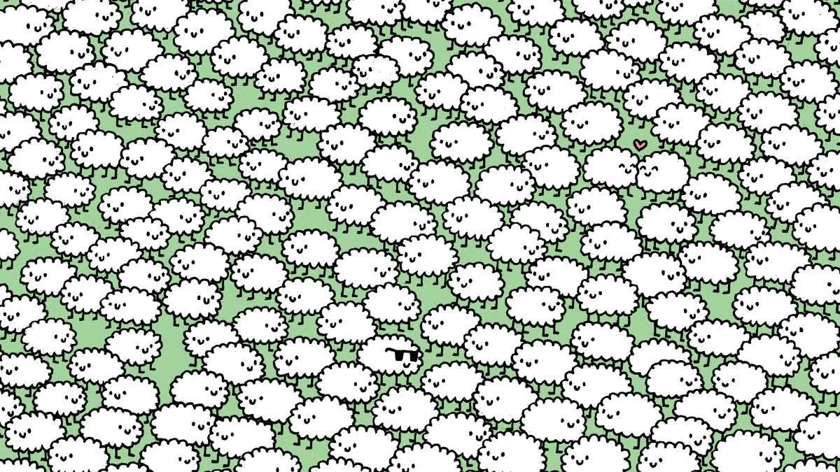 Spot three clouds hidden among sheep.
