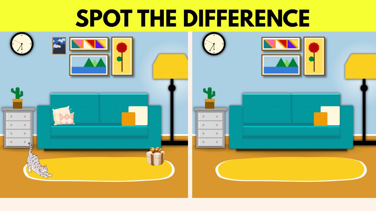 Do You Think You are Detail-Oriented? Put it to Test and Find 4 Differences in This Living Room in Just 10 Seconds!