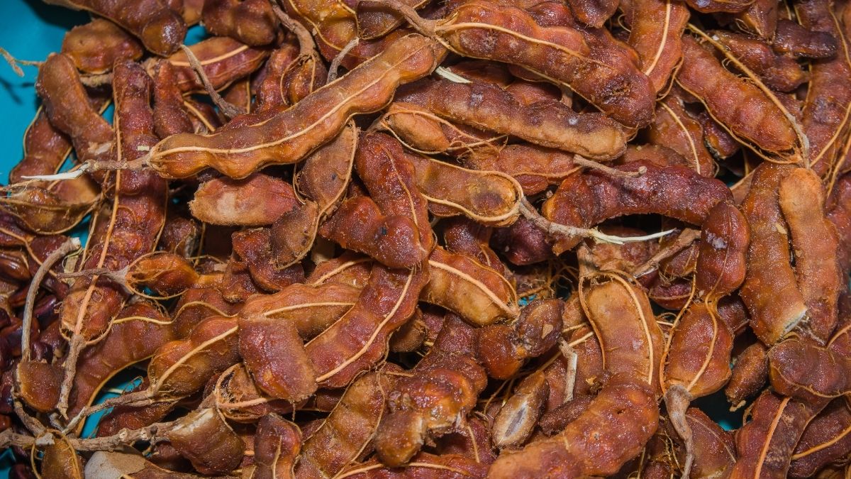 What is Imli called in English?