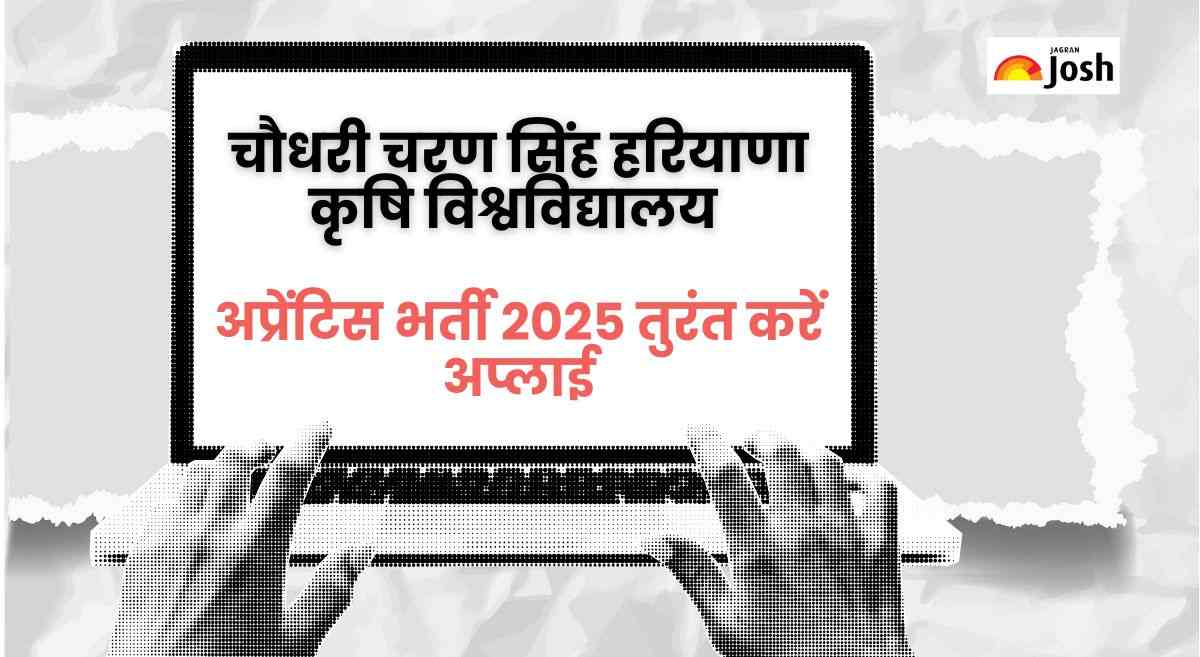 Hisar HAU Apprentice Recruitment 2025: मौका! अप्रेंटिस के 390 पदों पर आवेदन, आयु सीमा, शैक्षणिक योग्यता जानें



