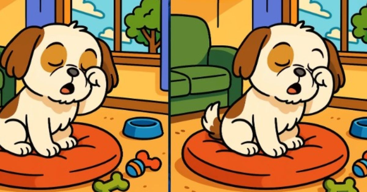 Spot the 3 Differences in Dog Rubbing His Eye Beat the 45-Second Challenge!