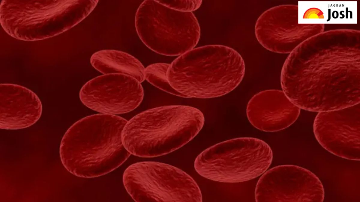 क्या है Bombay Blood Group, यहां जानें इतिहास, खोज और अन्य महत्त्वपूर्ण तथ्य