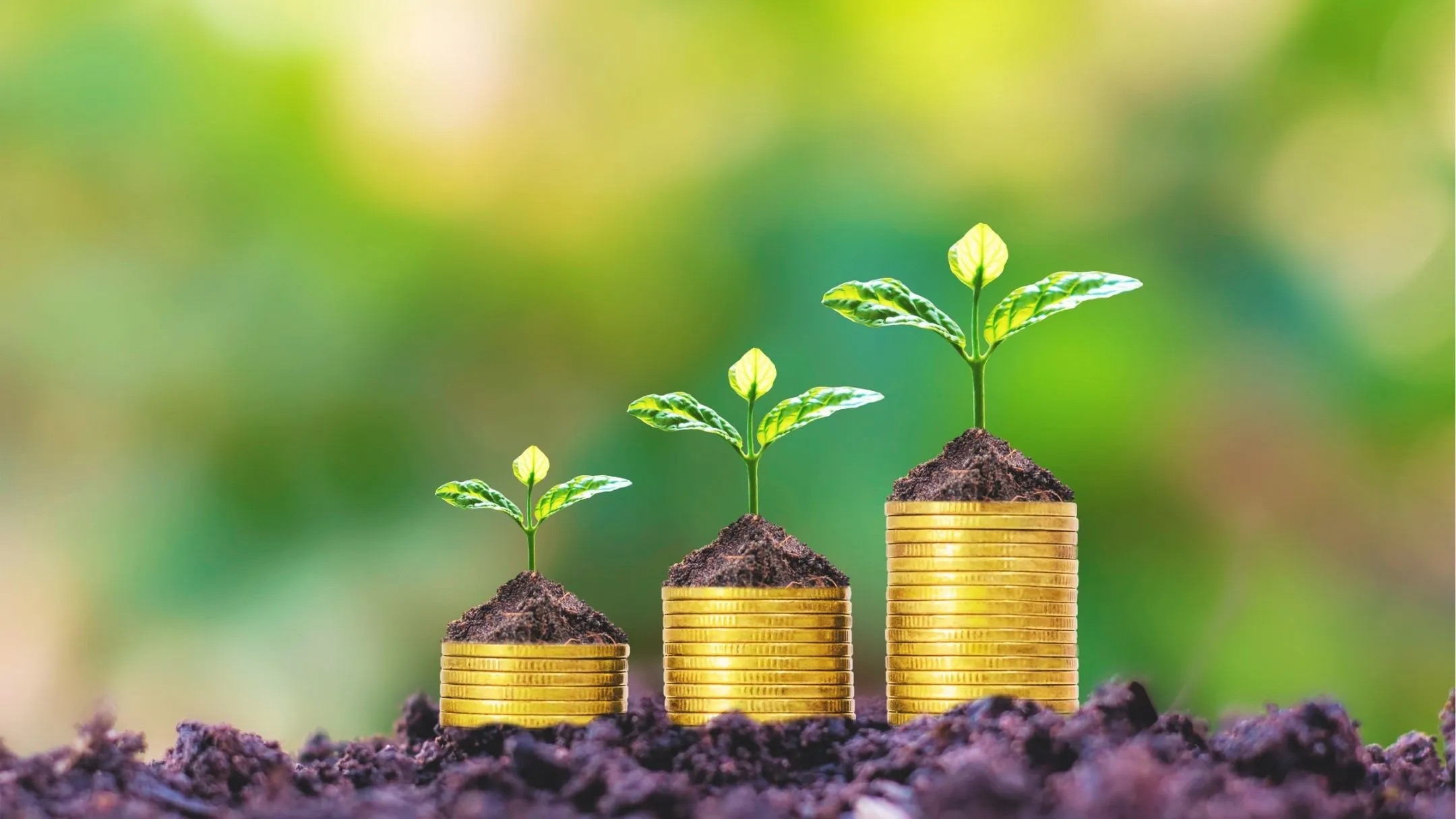 List of 9 Fastest Growing Economies in the World in 2025.