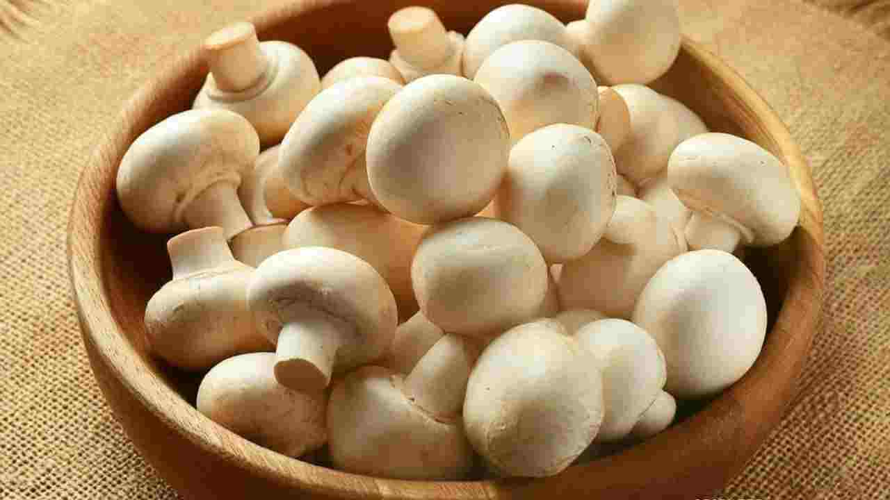 मशरूम को हिंदी में क्या बोलते हैं?