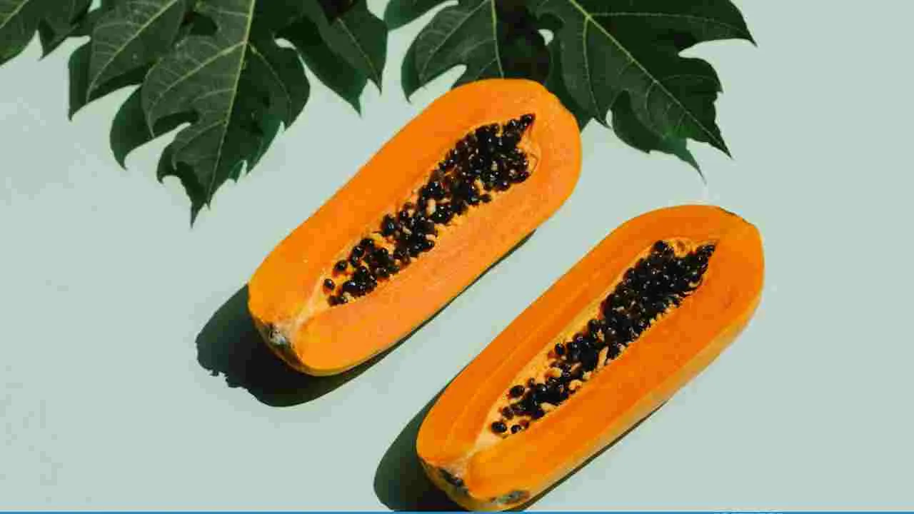 which state is the largest producer of papaya in india