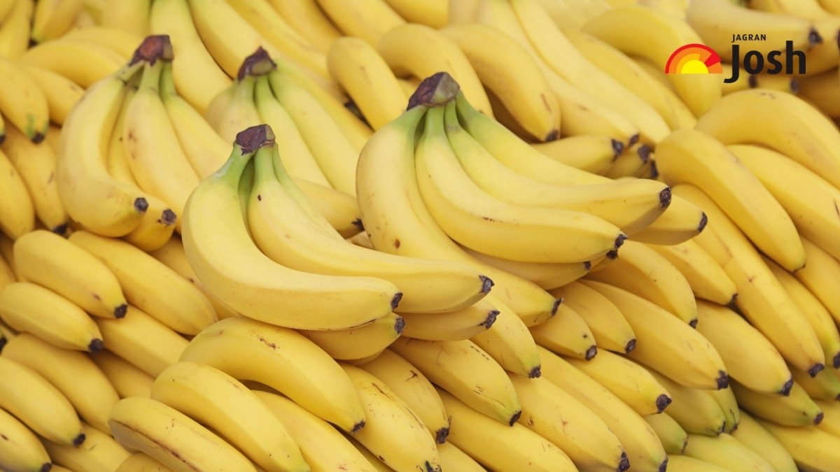 What is the Scientific Name for Banana?