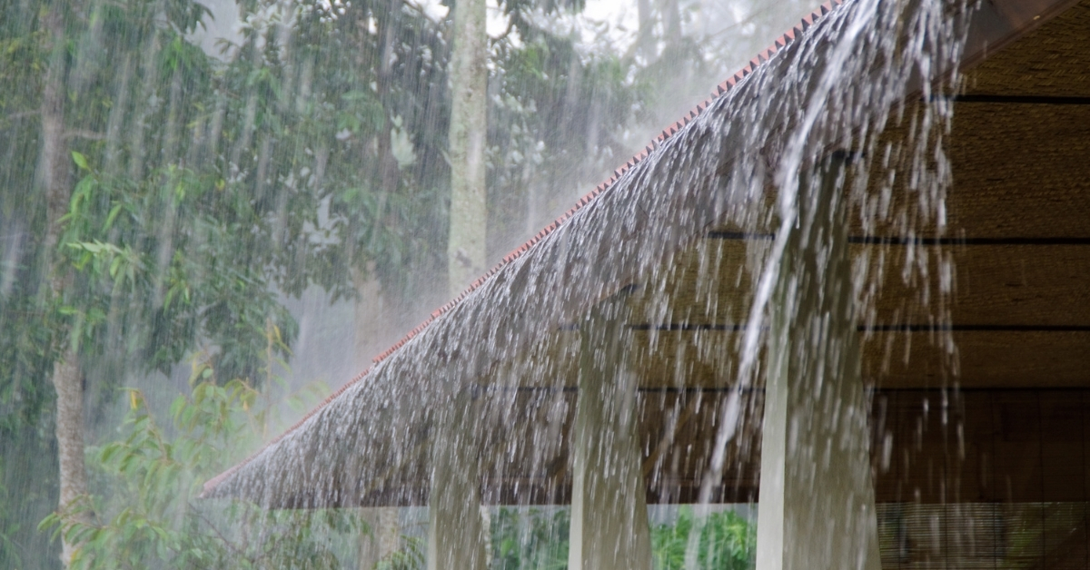 Which Indian State Receives The Highest Rainfall? List Of Top 5 States That Receive The Most Rainfall In India
