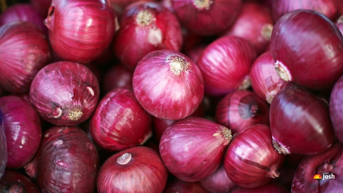 दुनिया में प्याज का सबसे बड़ा उत्पादक देश कौन सा है?
