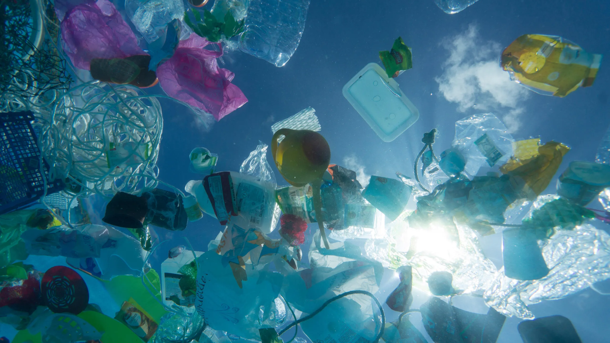 PDCA: The New Biodegradable Plastic That Could Replace PET
