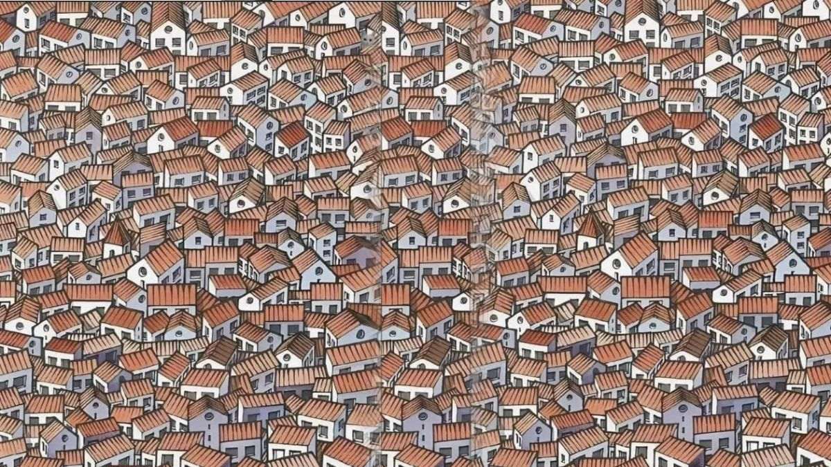Only 5% High IQ and Extremely Observant Can Spot The Hidden Cat Among The Swarm of Houses In 11 Seconds!