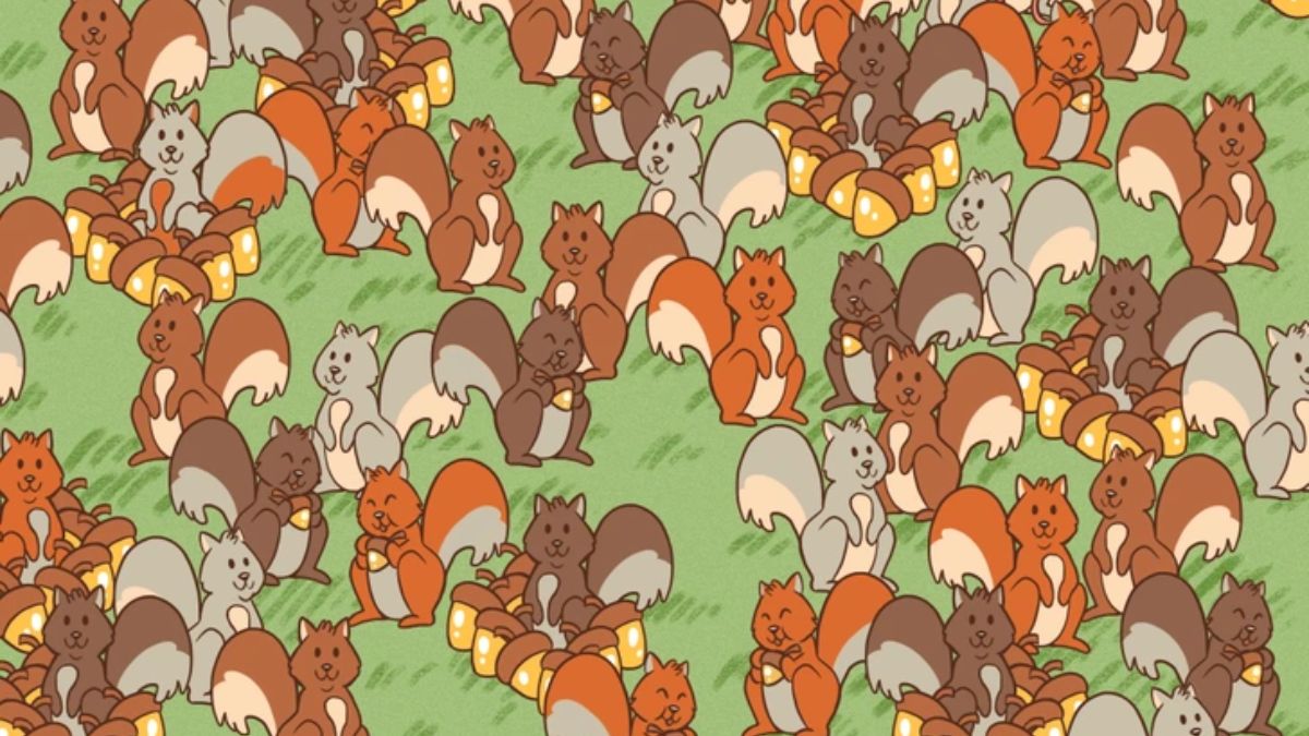 Prove You Have Eagle Eyes! Can You Spot The Mouse Among Squirrels In 5 Seconds?
