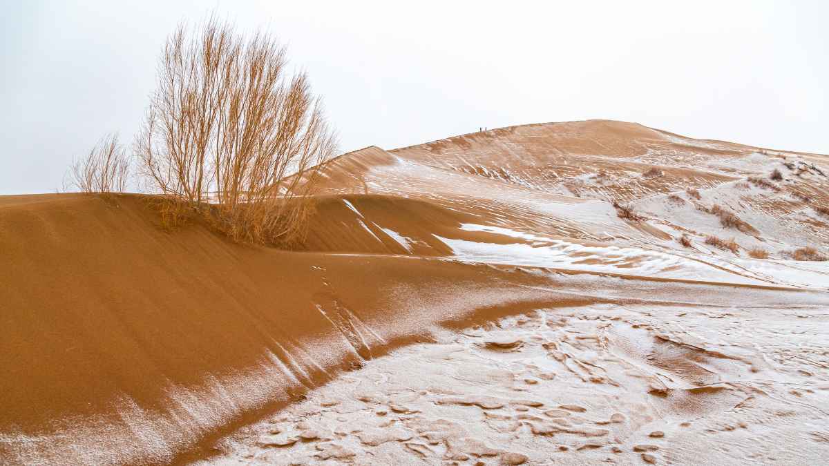 List of Top 8 Deserts That Receive Snowfall