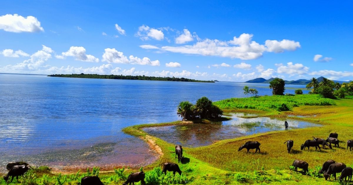 Which Lake Holds the Title of India’s Largest Saltwater Body? The Story of Chilika