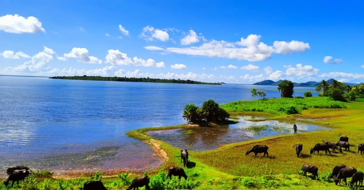Largest Salt Water Lake in India