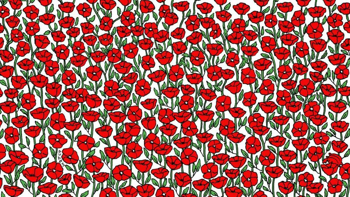 Spot a crab hidden in the field of flowers to claim your title of puzzle master!