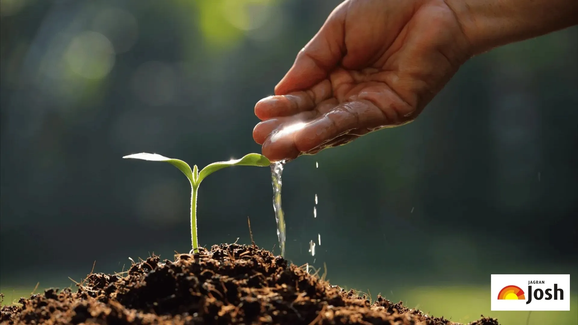 Types of Soil: 12 Classifications, 6 Main & Best Soils (Credits: H20 Global News)