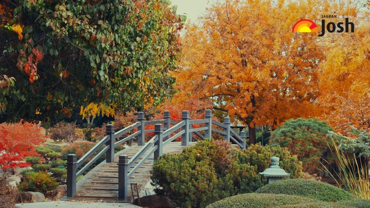 When does Fall Start (and End) in 2025? Know When Autumn Starts in the US
