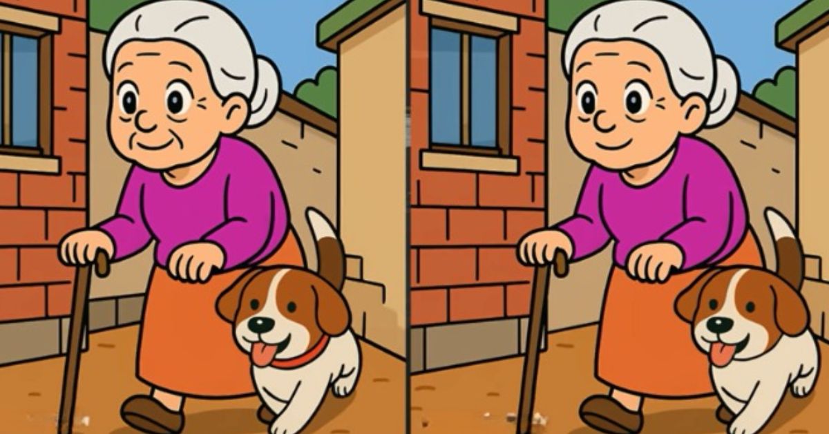 Spot the 3 Differences in Old Lady Taking a Walk With Her Dog Beat the 45-Second Challenge!