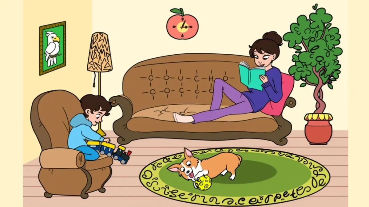 Find the 5 Hidden Words in this Living Room Optical Illusion
