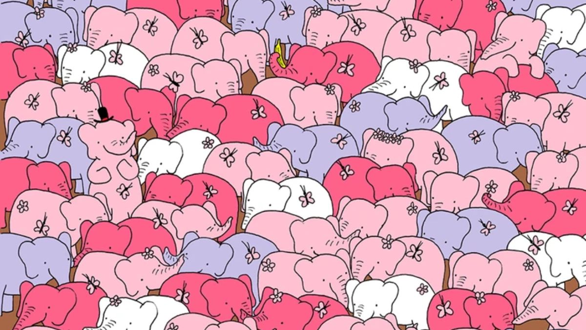You Possess Sherlock-Level detective Skills If You Can Spot The Hidden Heart In 15 Seconds!

