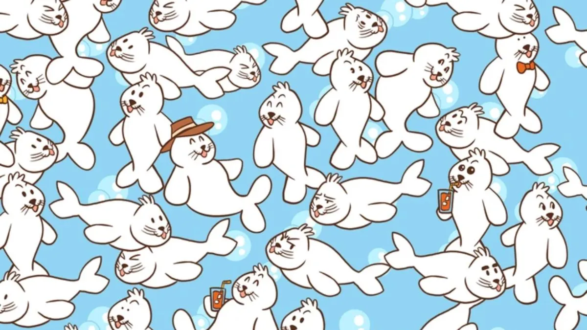 Spot the hidden marshmallow.