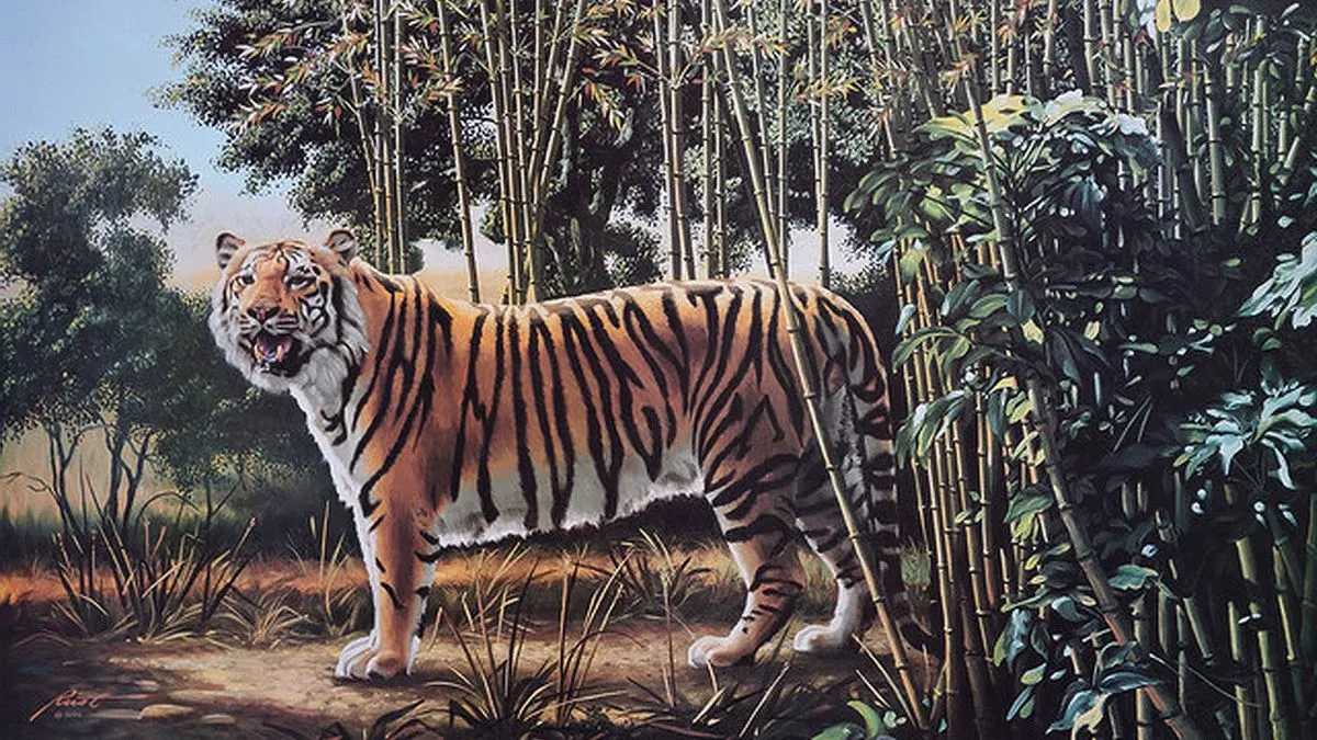 Spot the hidden tiger.