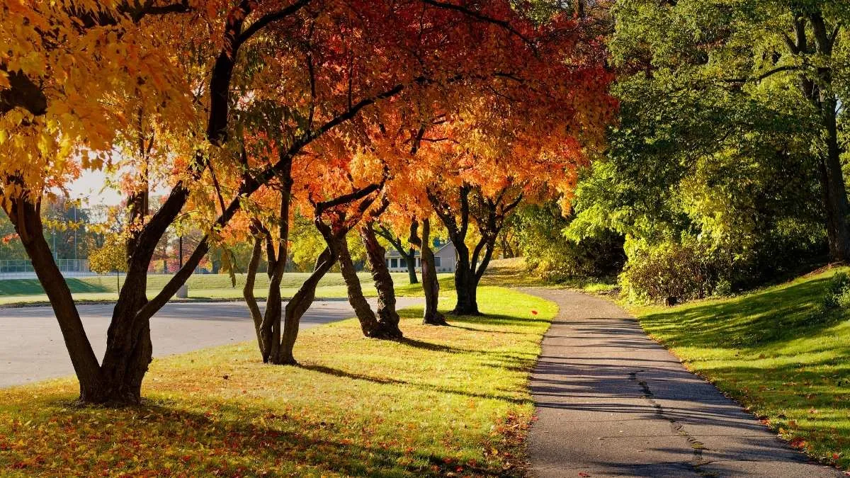 The best places to see fall foliage in the US, 2025