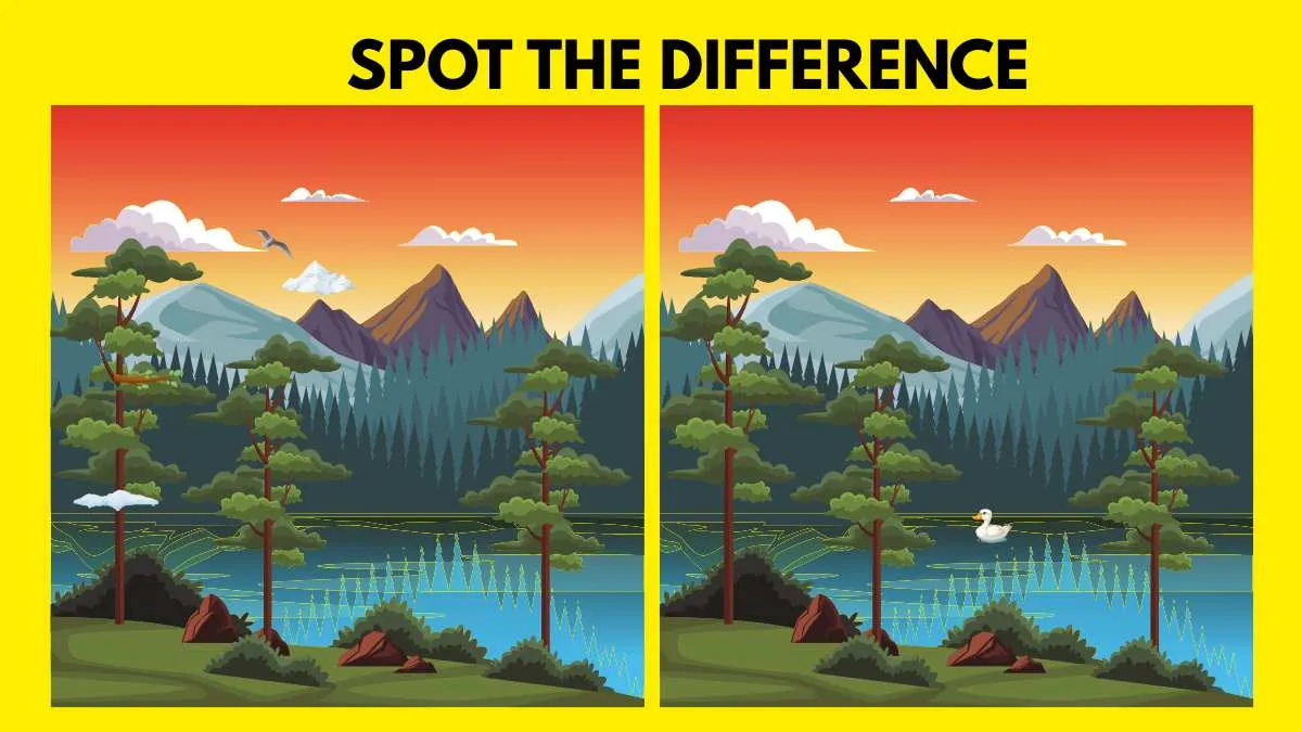 Spot the Difference