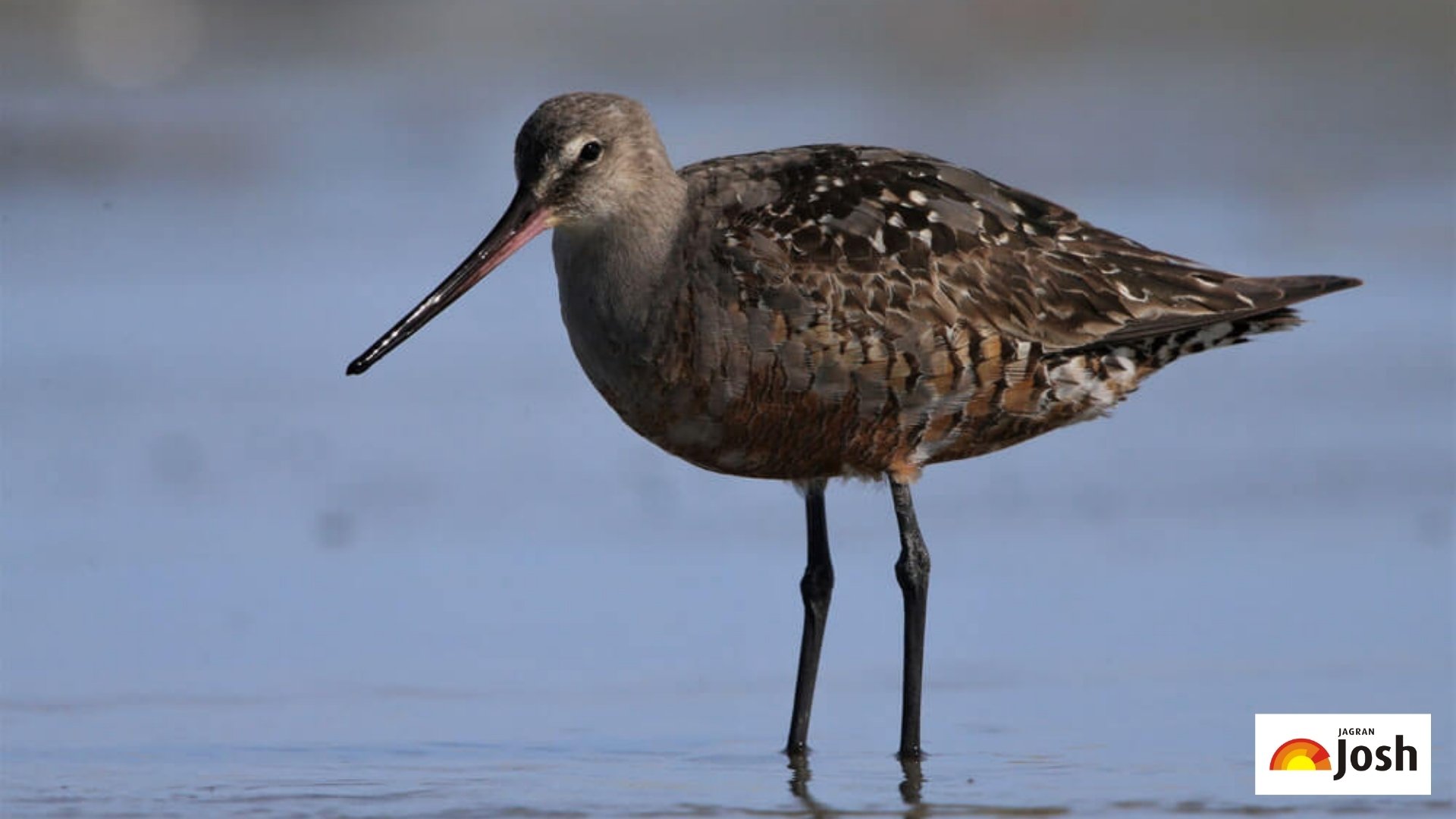 List of US National Wildlife Refuges, Check Here!
