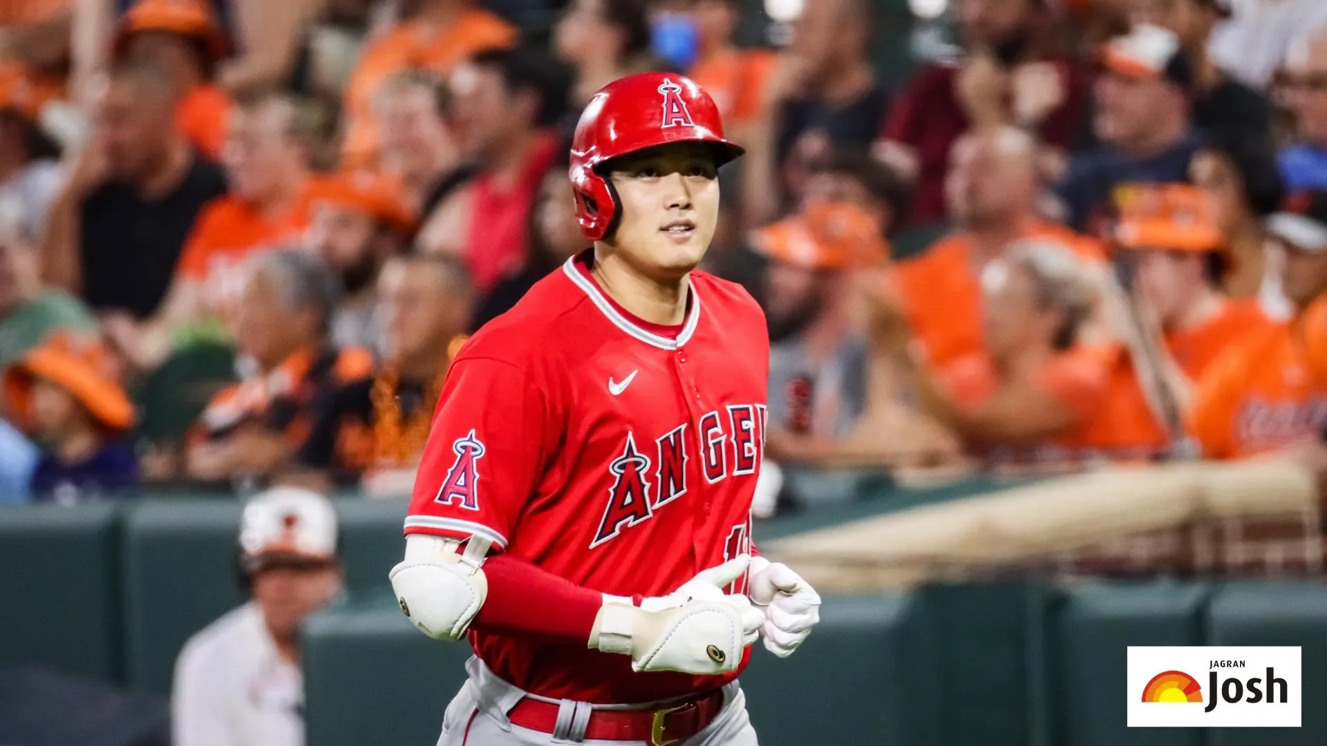 List of Highest Paid MLB Players 2025, Check Salaries & Net Worth!