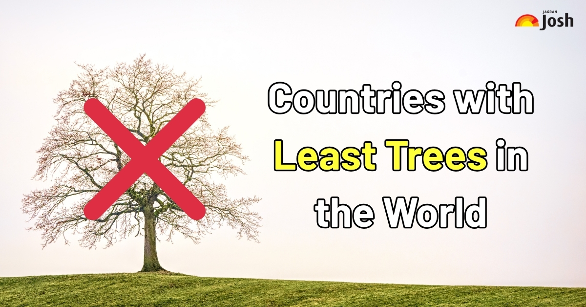 List Of 10 Countries With No Natural Forest Cover
