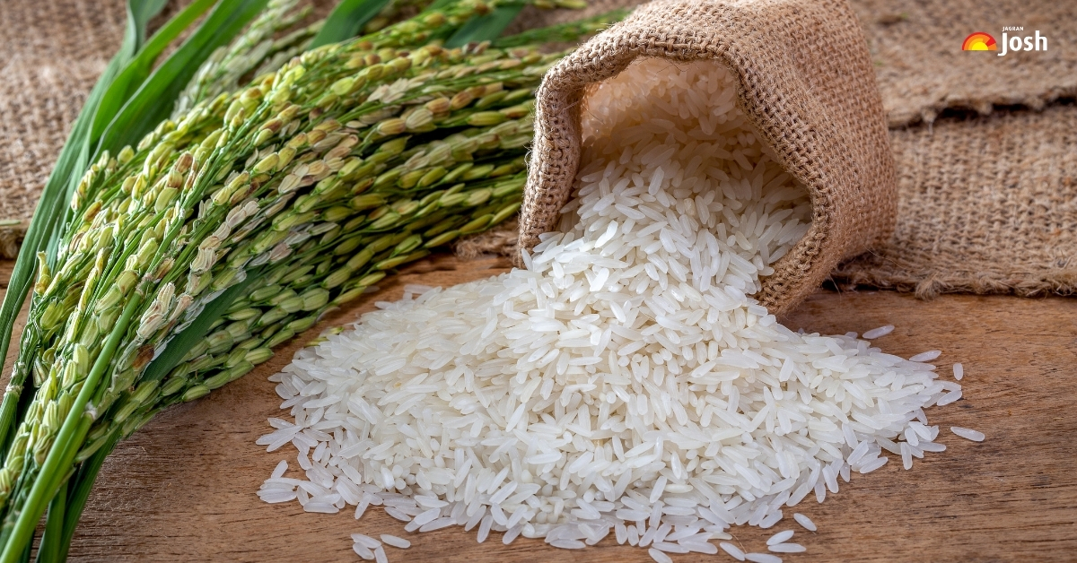 10 Largest Rice-Producing Countries in the World (2025)
