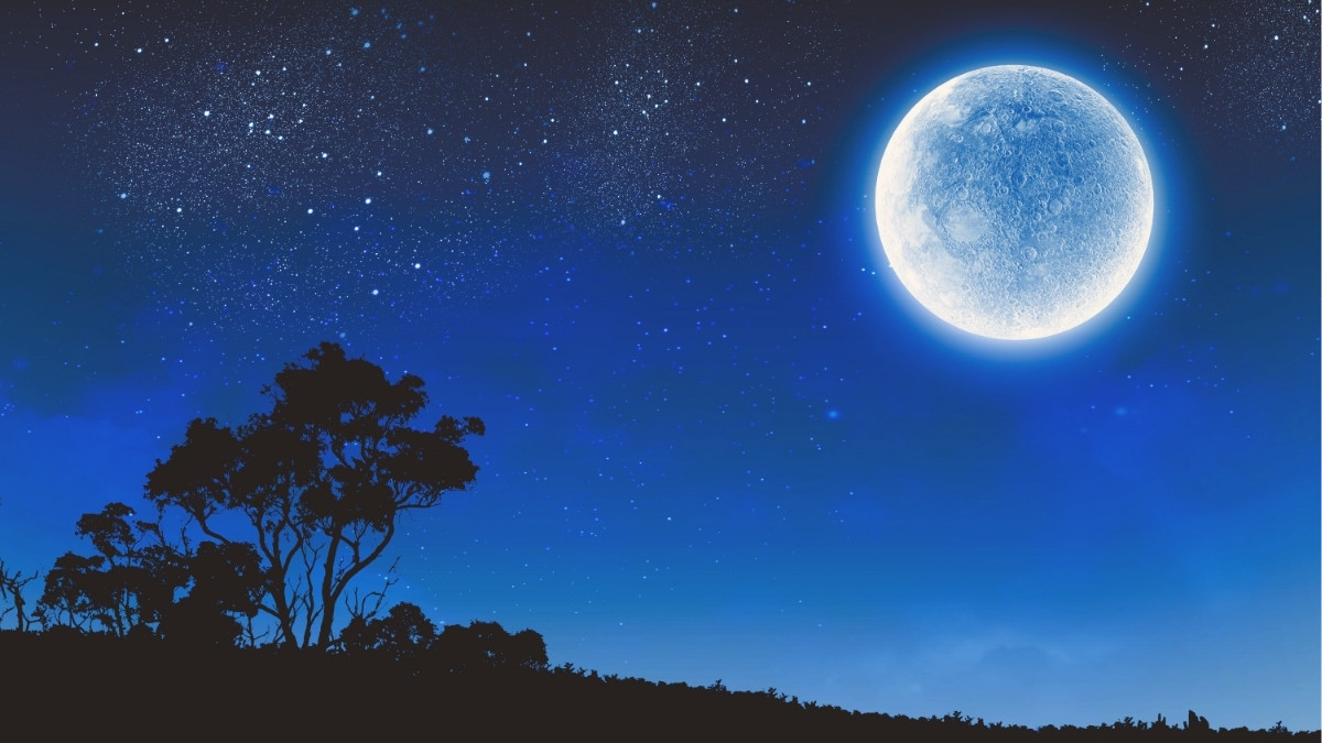 Only a Selenophile Would Know These 7 Lesser Known Interesting Facts about the Moon: Must Read!
