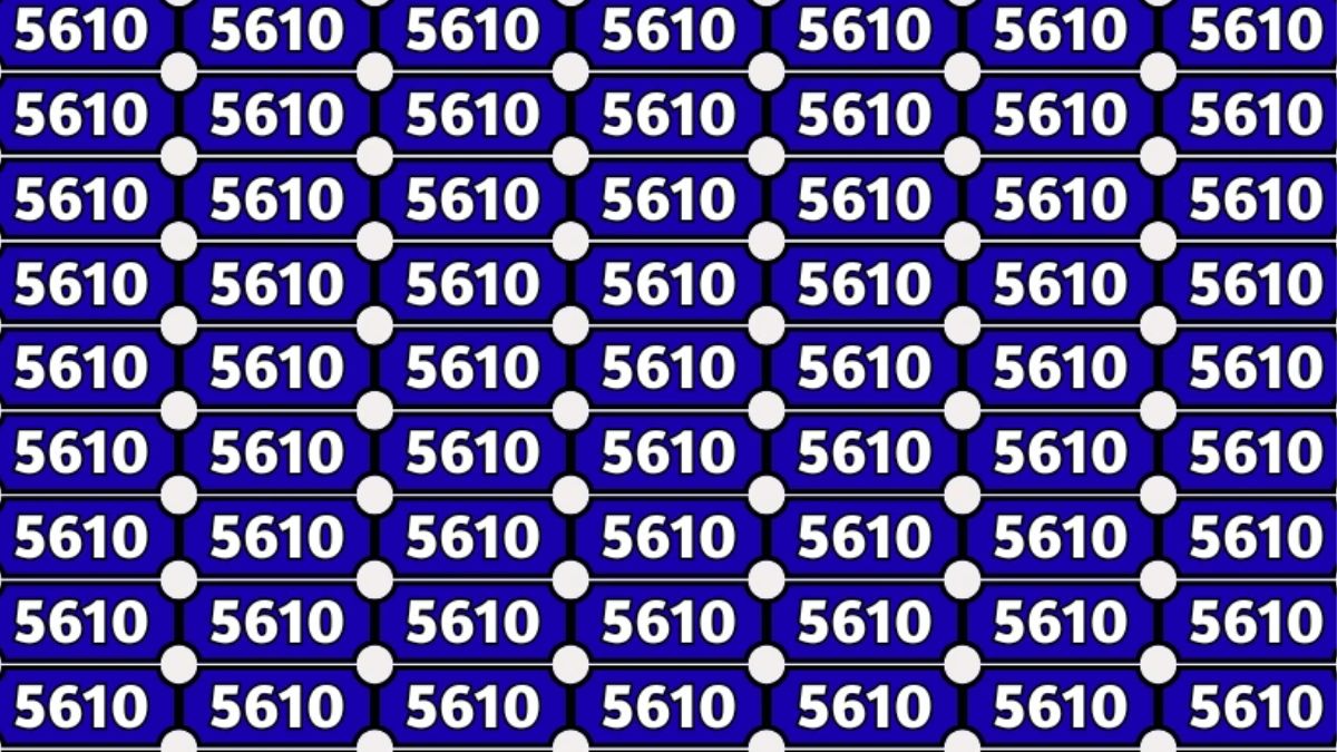 Think You Have Einstein's IQ & possess HD-Eye Vision? Then find out the Odd Number in this “5610” Repeating Brain Teaser Series