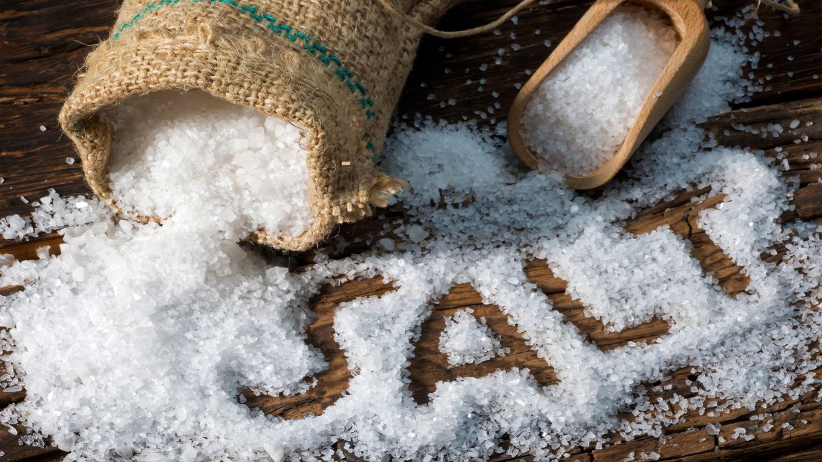 Which State is Known for Its Salt Production?